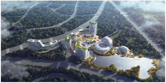 1637811090596076.jpg 1637811084(1).jpg